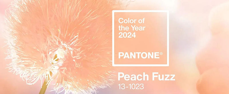 2024年度流行色，拥抱温暖且浪漫迷人的“柔和桃”
